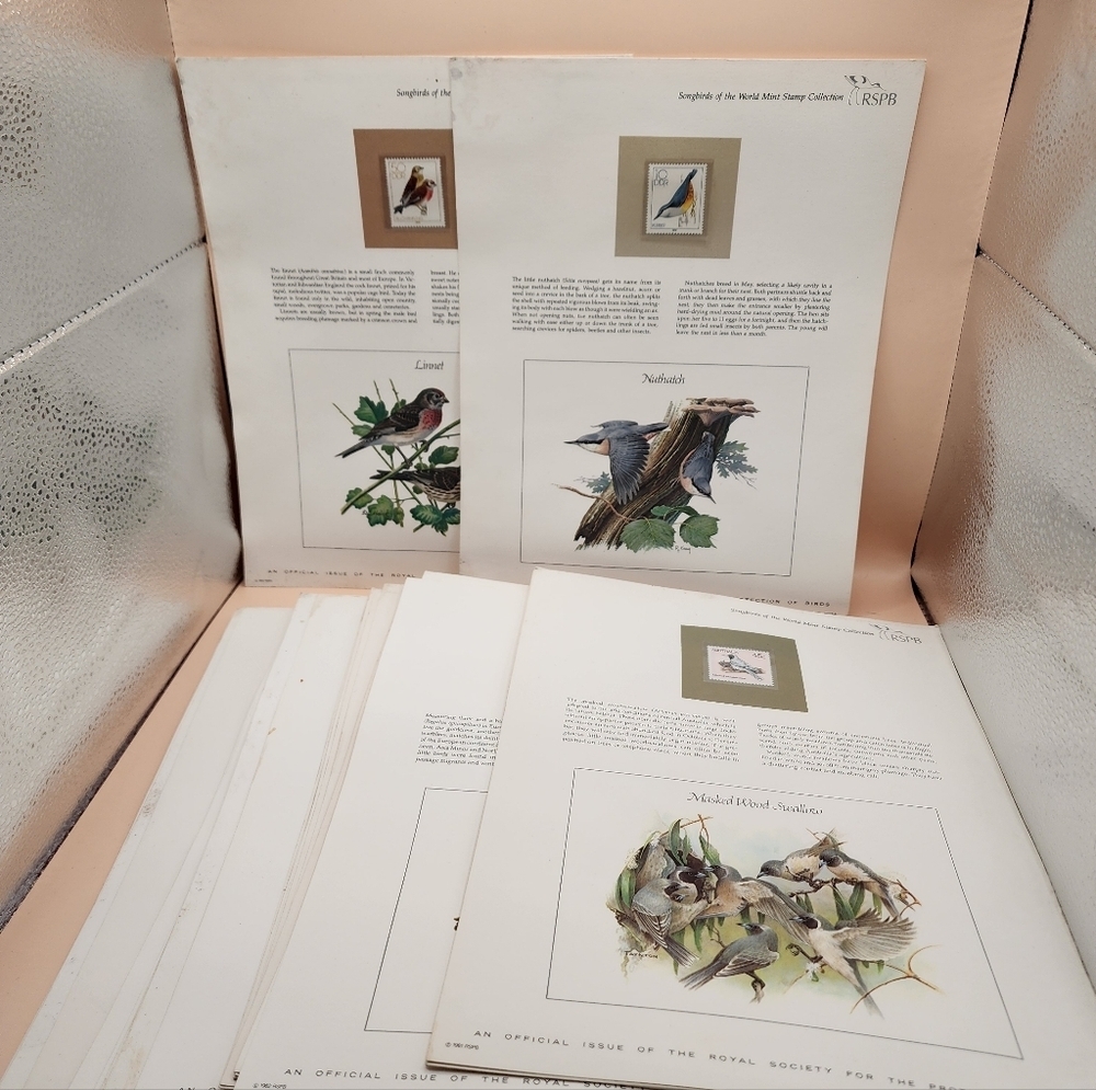 34 RSPB Songbirds of the World Stamps Vintage Royal Society British - Picture 2 of 13